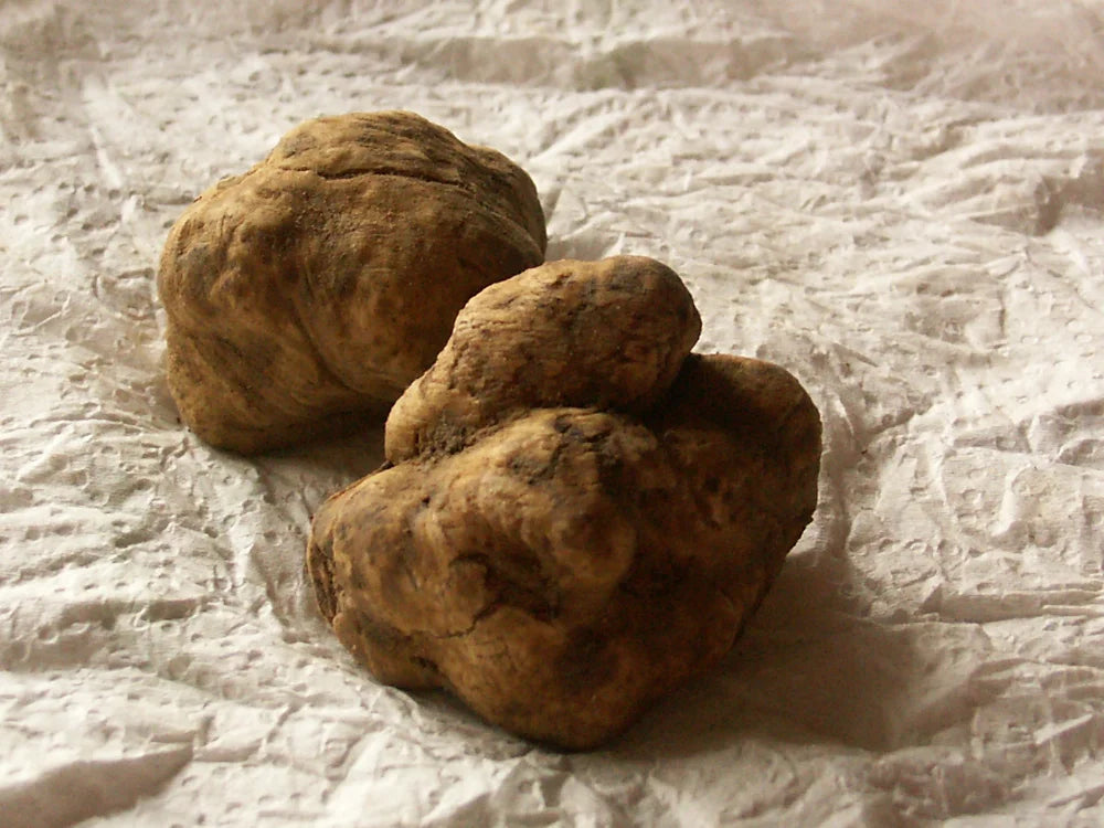 ماء الكمأ… المنتج رقم 1 لراحة العين بشكل طبيعي 👁️